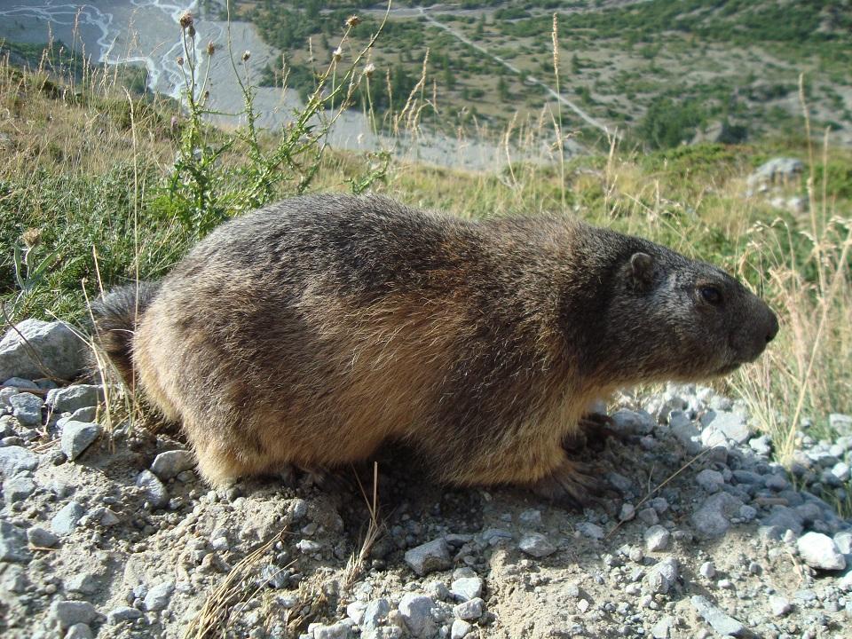 5 17